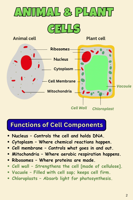 GCSE Biology (AQA Foundation Tier) - Digital Revision Book | 2025-2026